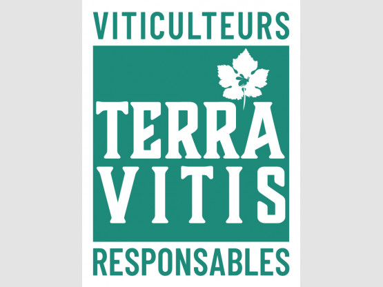Terra Vitis: continuous, pragmatic, responsible and sustainable improvement