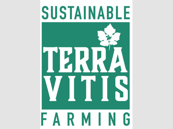 Terra Vitis: continuous, pragmatic, responsible and sustainable improvement